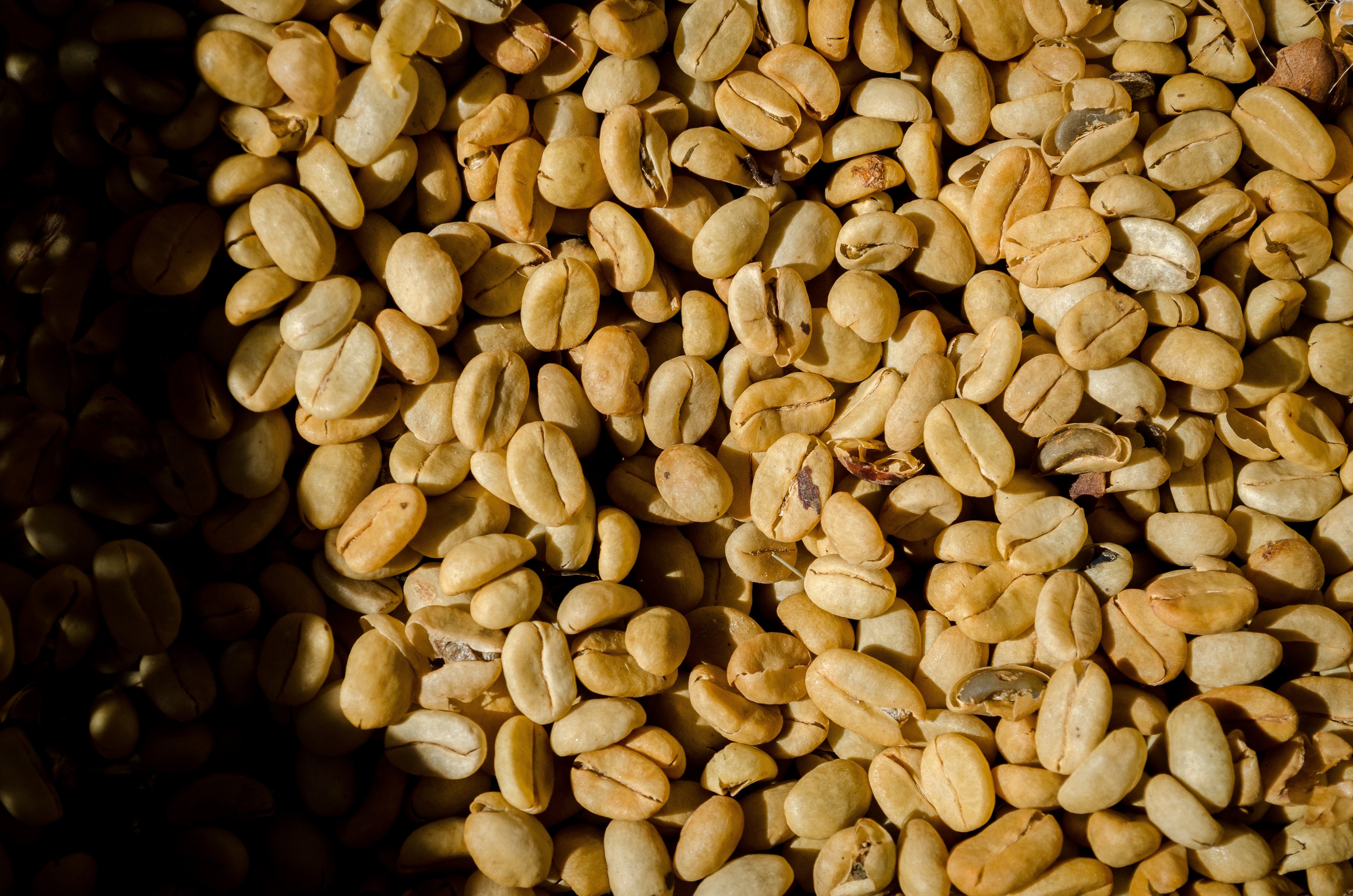 Kerchanshe Coffee Farm