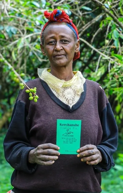 Buna Qela School Project